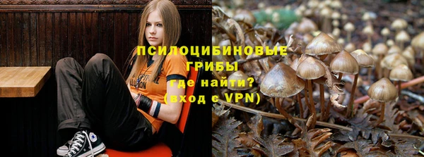 стафф Алексеевка