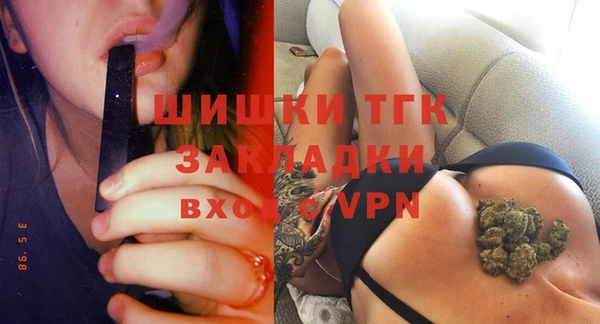 гидропоника Алзамай